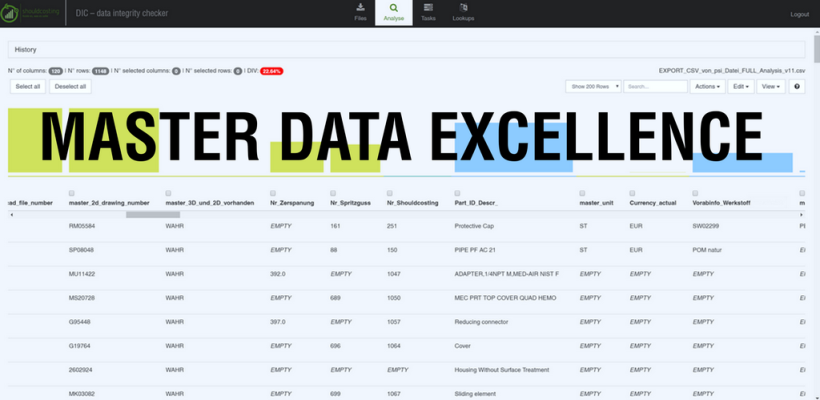 Master Data Excellence